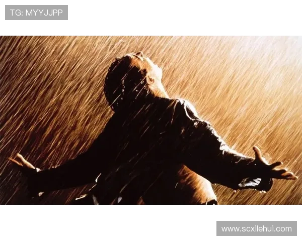 飓风来袭如何在防御与正义之间取得平衡与胜利