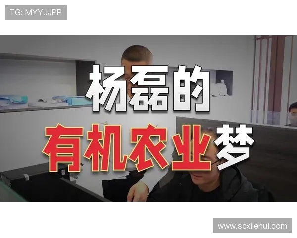 杨磊专访：从青涩少年到篮球明星的成长之路回顾