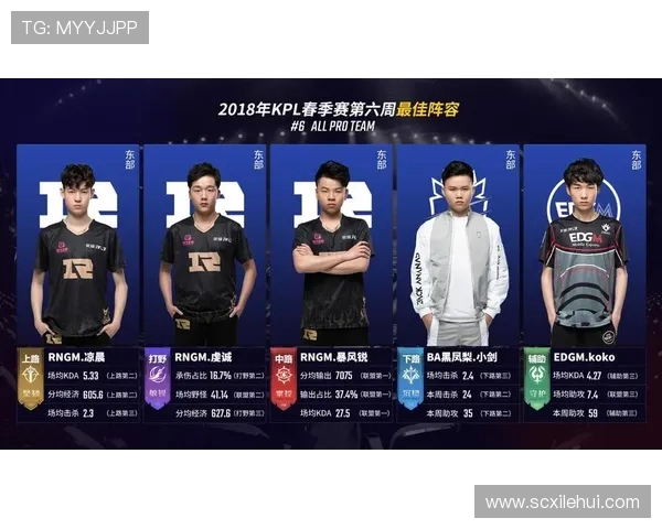 王者荣耀RNG团队协作的秘密与成功之道探讨