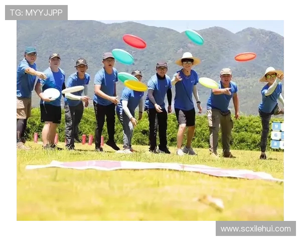 飞盘战术揭秘：南京飞盘队如何构建高效进攻体系与团队配合