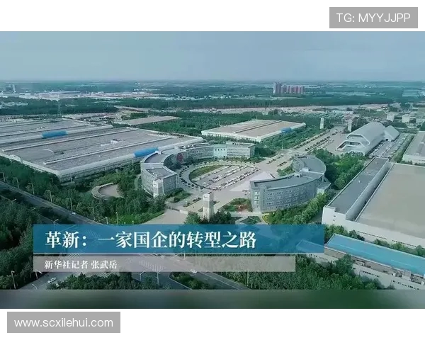 南京排球队的整体压制革新之路探索与未来展望